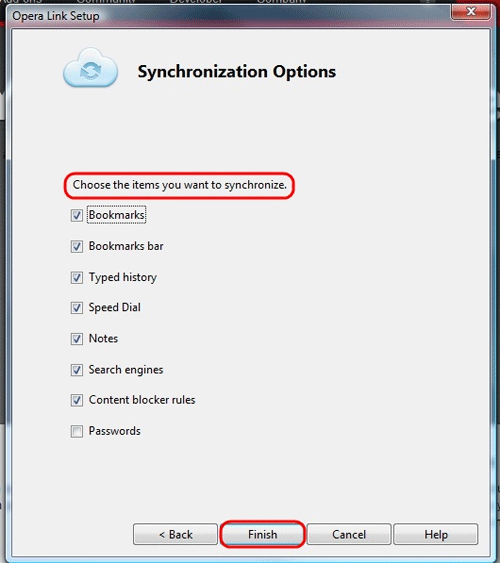 Synchronization Options